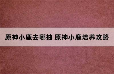 原神小鹿去哪抽 原神小鹿培养攻略